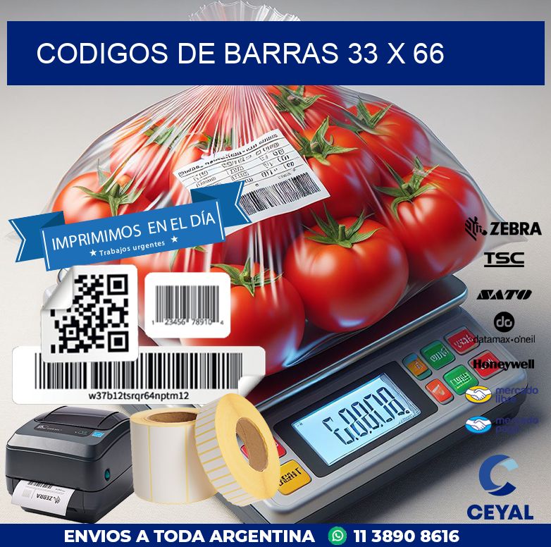 codigos de barras 33 x 66