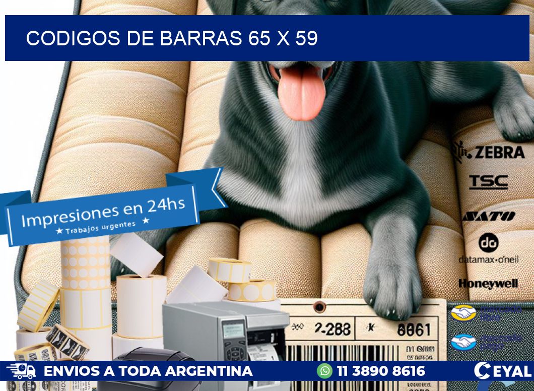 codigos de barras 65 x 59