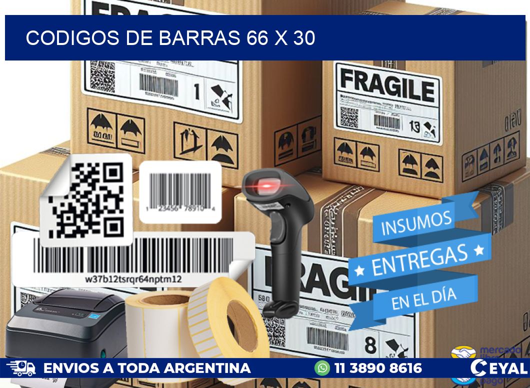 codigos de barras 66 x 30