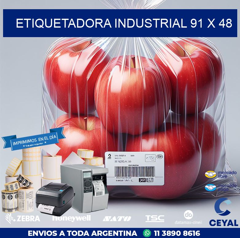 etiquetadora industrial 91 x 48
