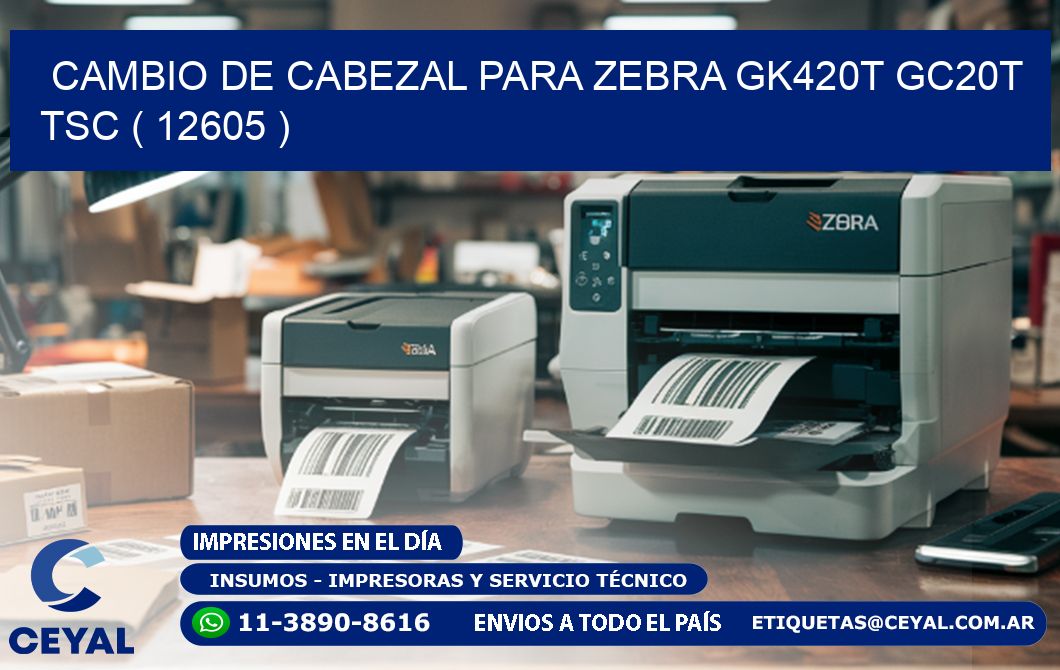 CAMBIO DE CABEZAL PARA ZEBRA GK420T GC20T TSC ( 12605 )