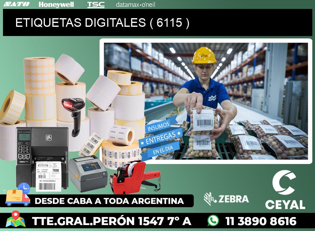 ETIQUETAS DIGITALES ( 6115 )