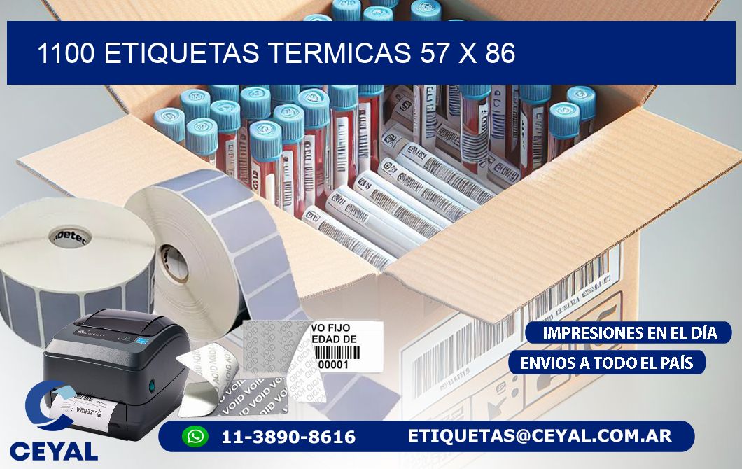1100 ETIQUETAS TERMICAS 57 x 86