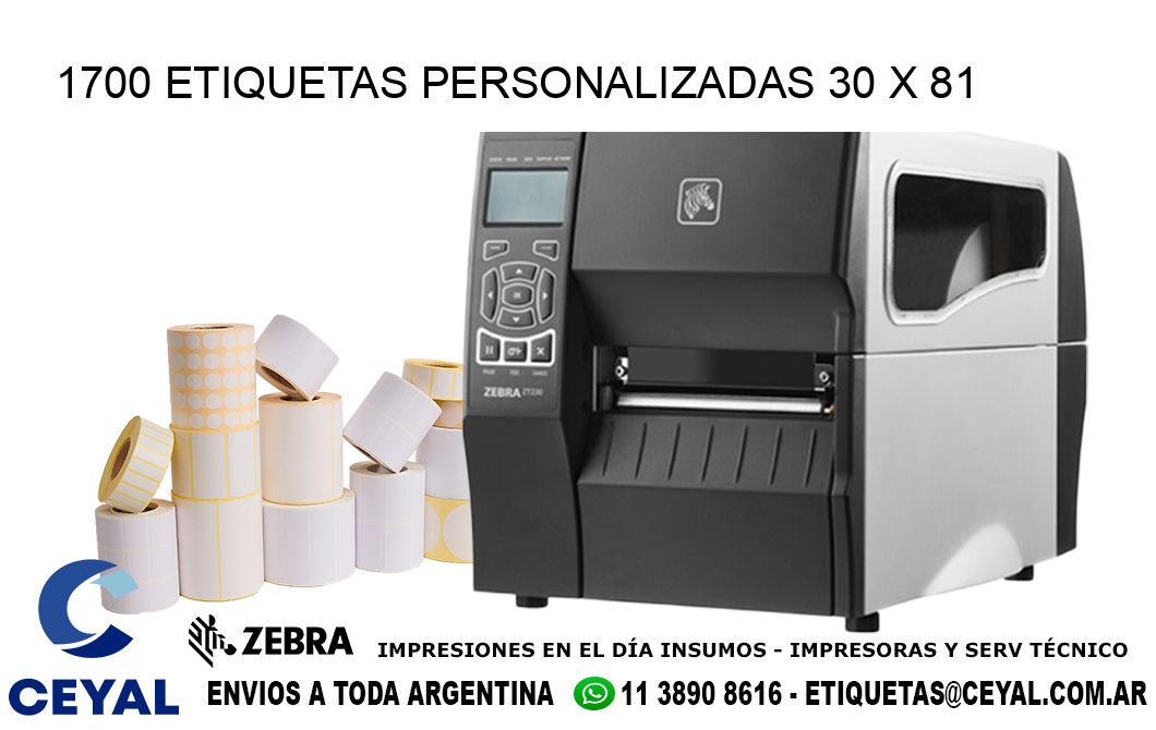 1700 ETIQUETAS PERSONALIZADAS 30 x 81