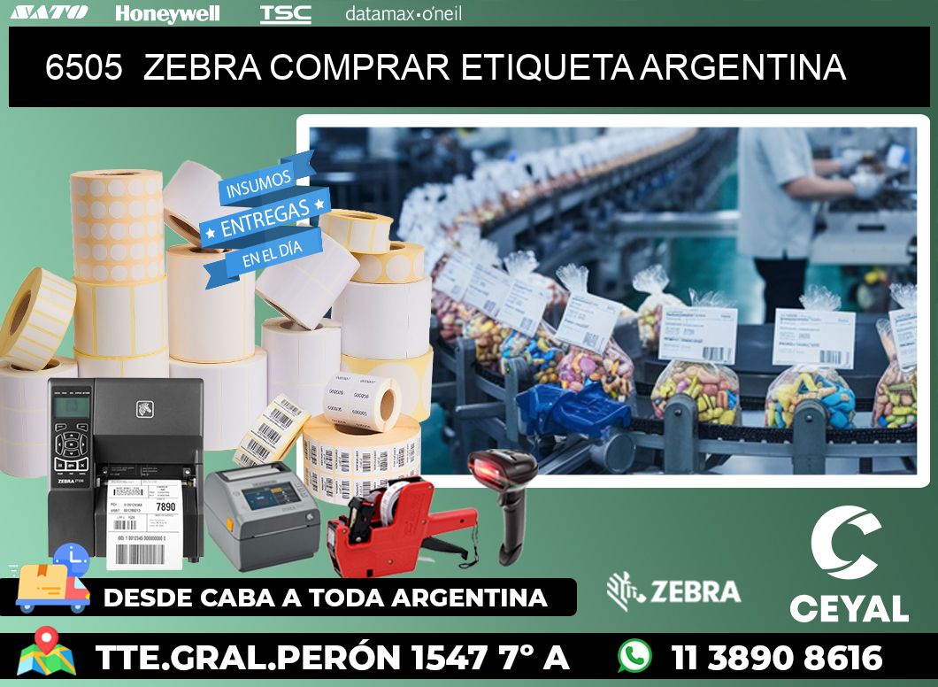 6505  ZEBRA COMPRAR ETIQUETA ARGENTINA
