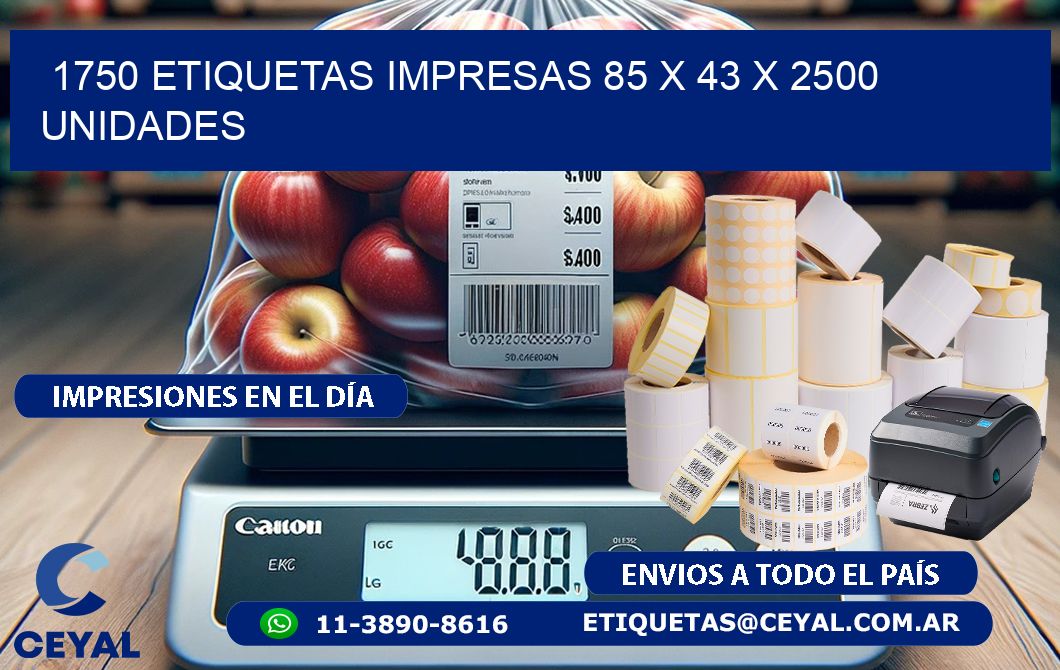 1750 ETIQUETAS IMPRESAS 85 x 43 X 2500 UNIDADES