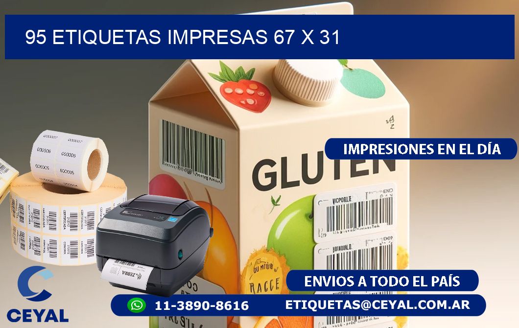 95 ETIQUETAS IMPRESAS 67 x 31