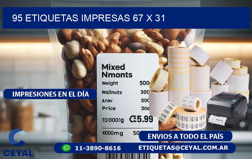 95 ETIQUETAS IMPRESAS 67 x 31