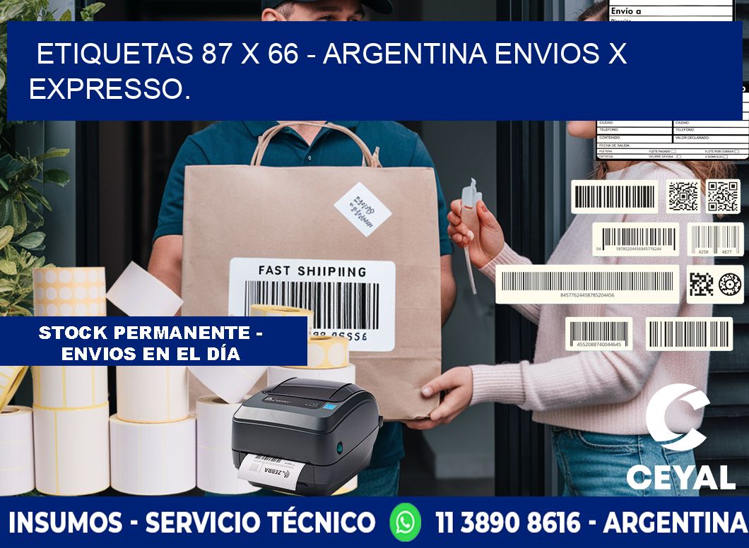 ETIQUETAS 87 x 66 - ARGENTINA ENVIOS X EXPRESSO.