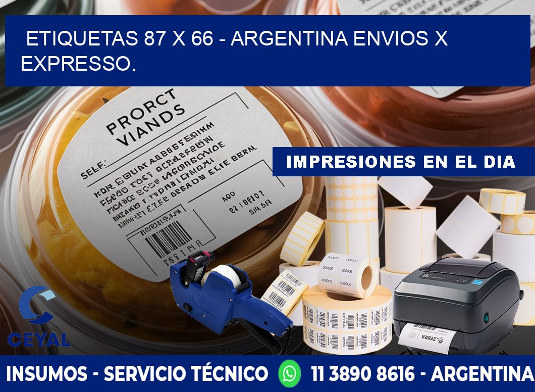 ETIQUETAS 87 x 66 - ARGENTINA ENVIOS X EXPRESSO.