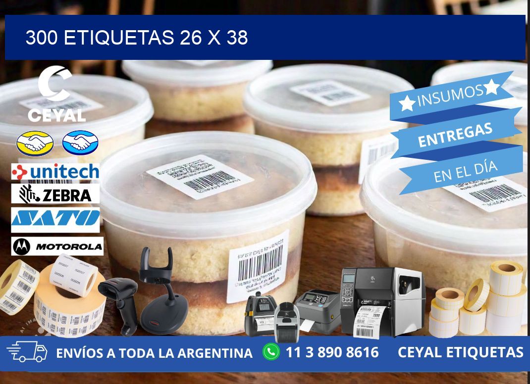 300 ETIQUETAS 26 x 38