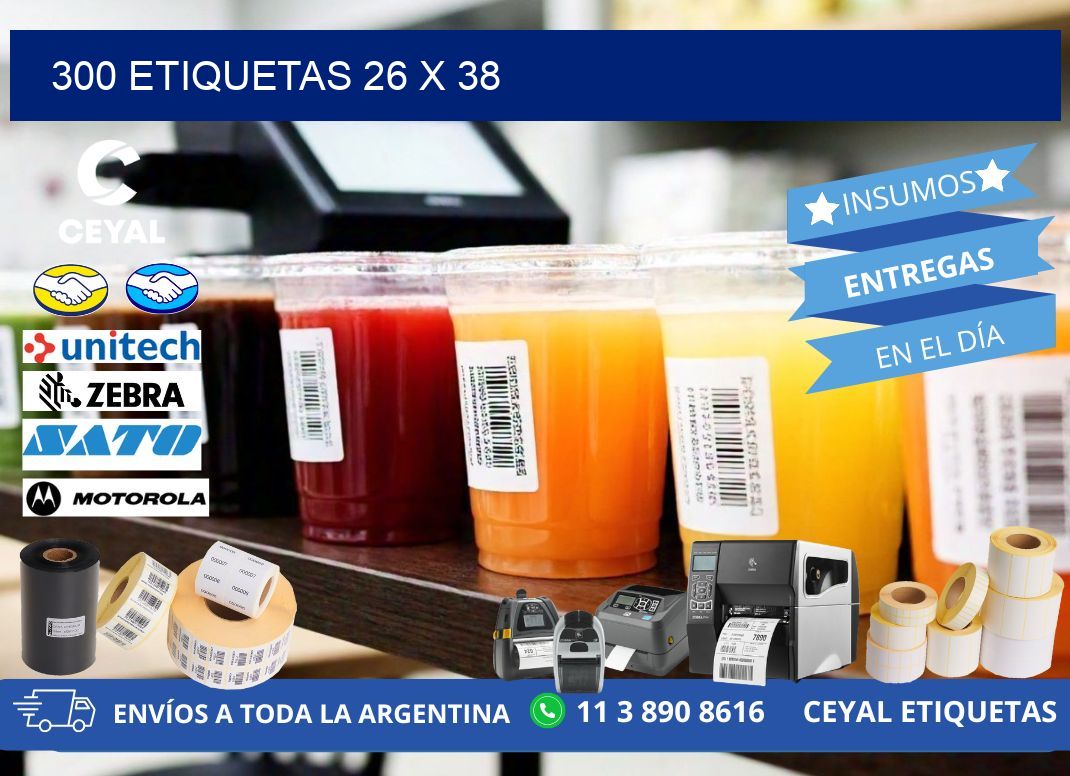 300 ETIQUETAS 26 x 38