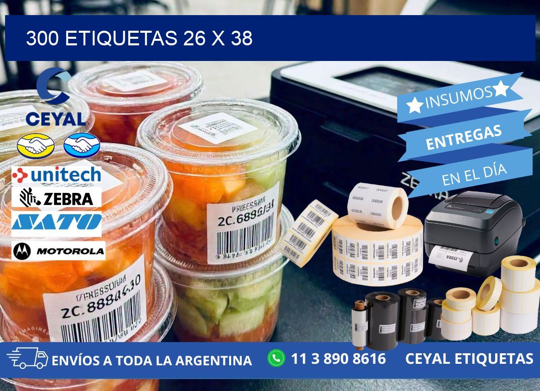 300 ETIQUETAS 26 x 38