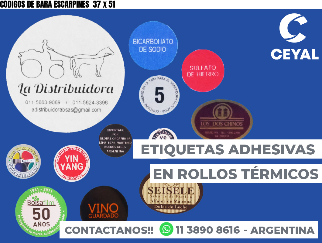 CÓDIGOS DE BARA ESCARPINES  37 x 51