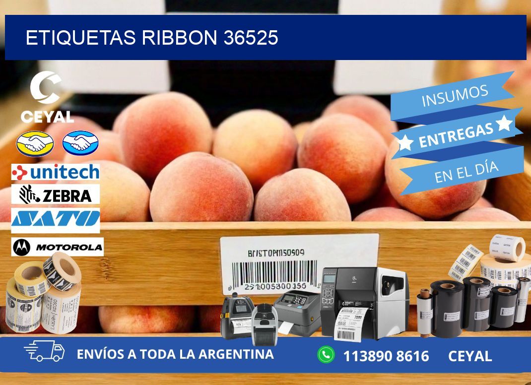ETIQUETAS RIBBON 36525