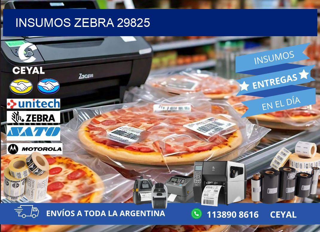 INSUMOS ZEBRA 29825