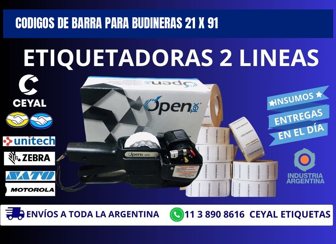 CODIGOS DE BARRA PARA BUDINERAS 21 x 91