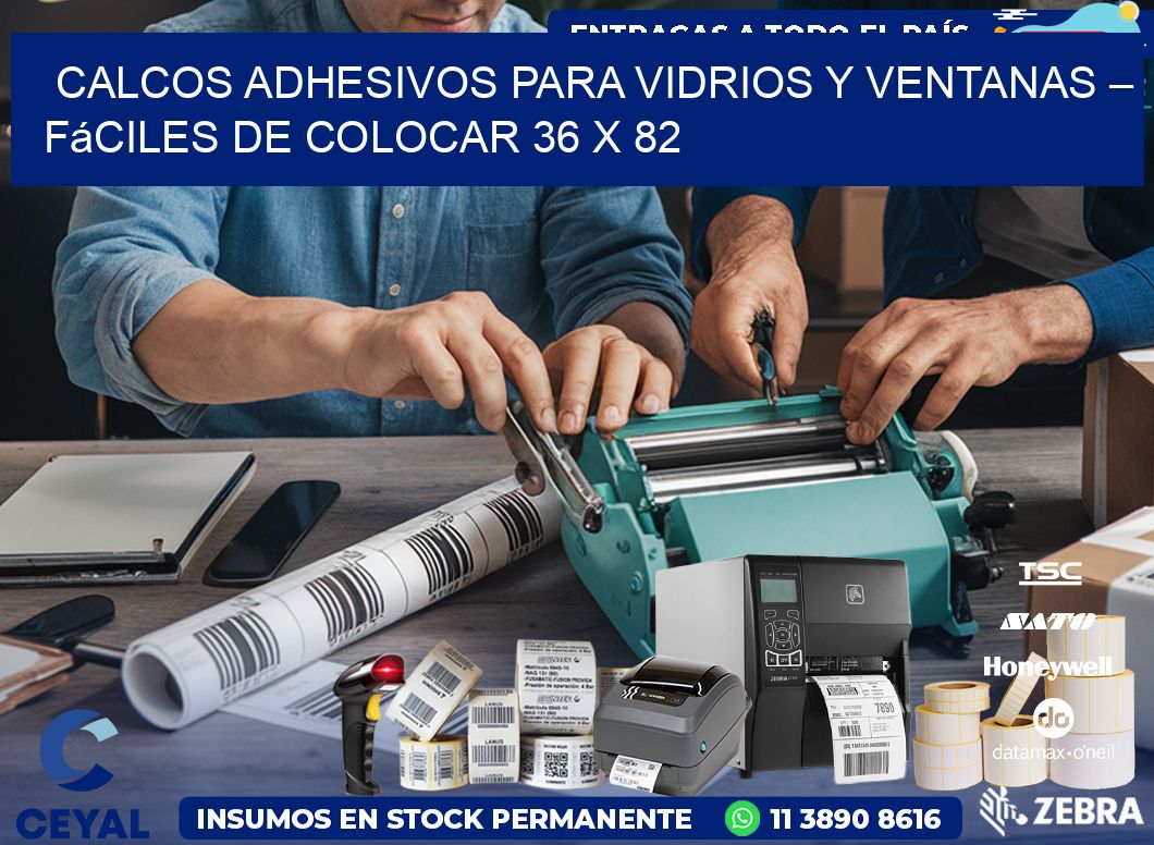 Calcos Adhesivos para Vidrios y Ventanas – Fáciles de Colocar 36 x 82