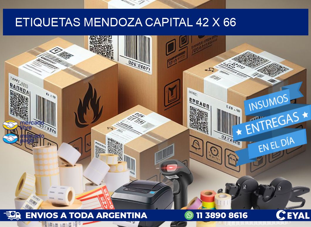 Etiquetas Mendoza Capital 42 x 66