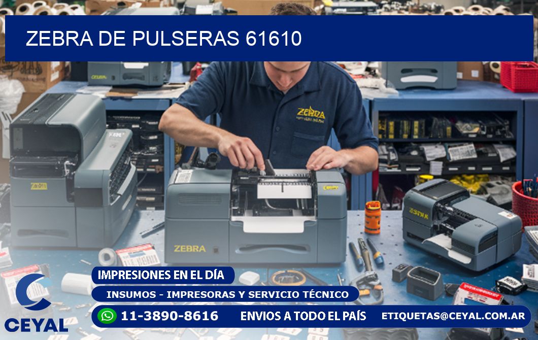 ZEBRA DE PULSERAS 61610