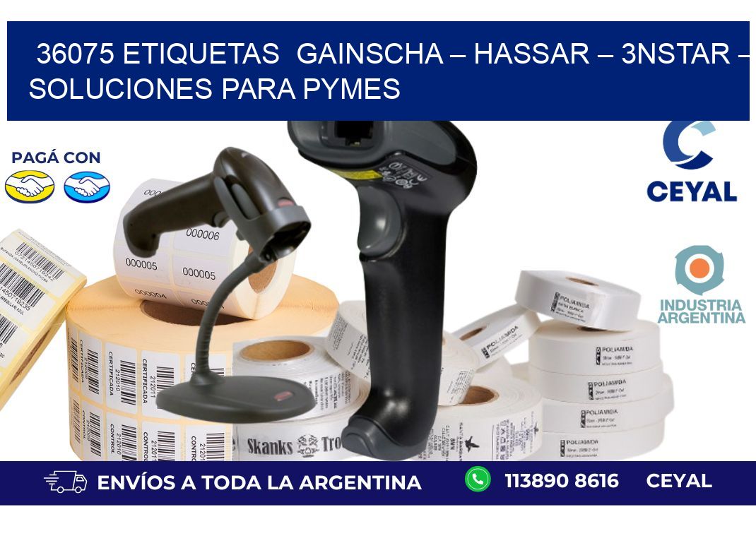 36075 etiquetas  Gainscha – Hassar – 3nStar – Soluciones para PyMEs