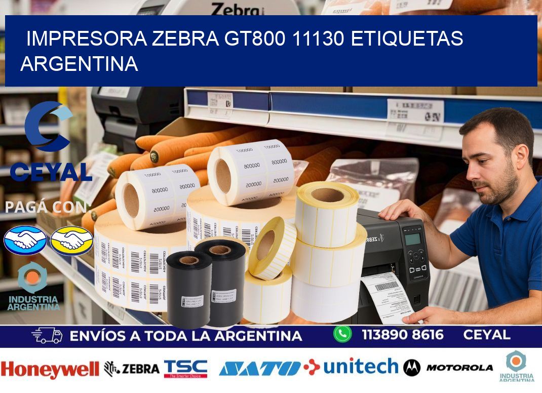 Impresora zebra gt800 11130 etiquetas argentina