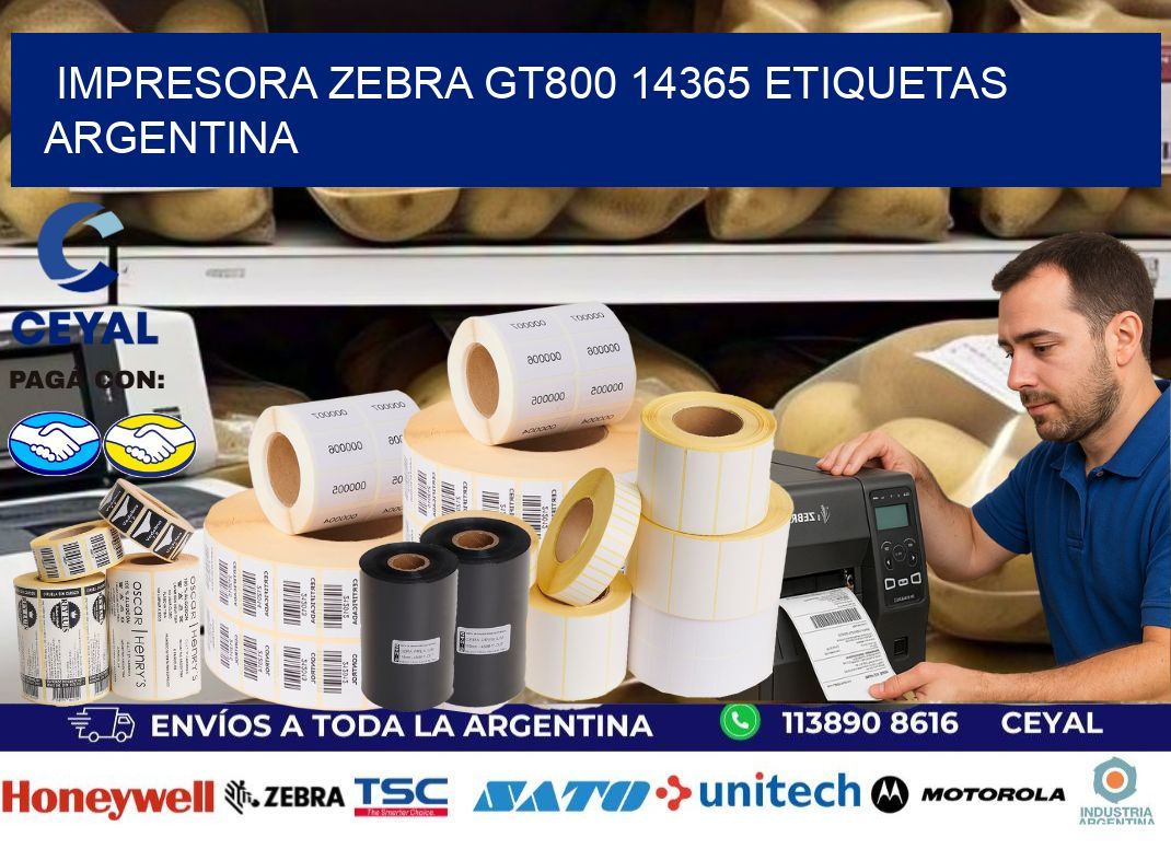 Impresora zebra gt800 14365 etiquetas argentina