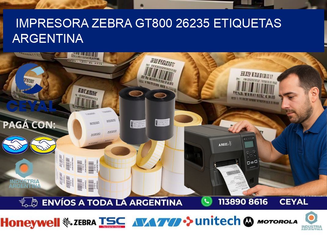 Impresora zebra gt800 26235 etiquetas argentina