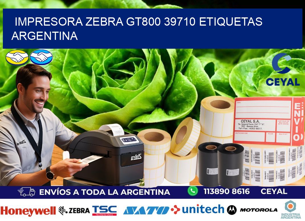 Impresora zebra gt800 39710 etiquetas argentina