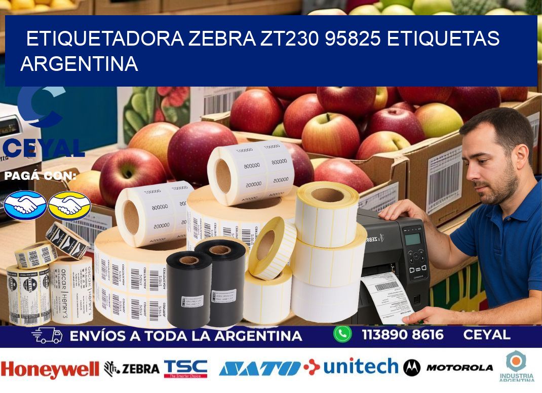 etiquetadora zebra zt230 95825 etiquetas argentina
