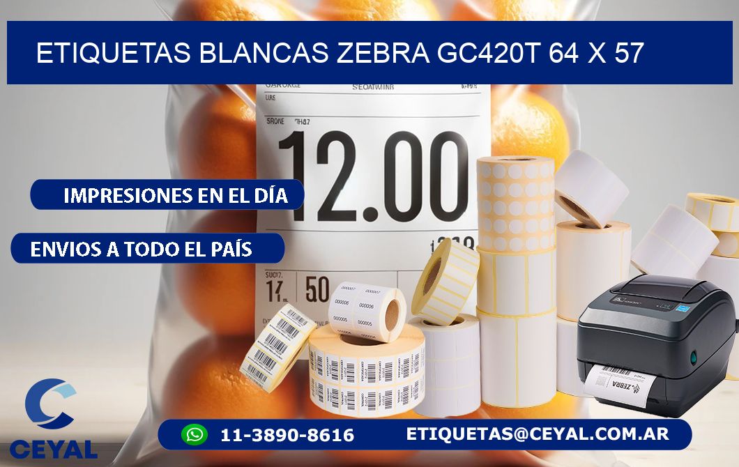 ETIQUETAS BLANCAS ZEBRA GC420T 64 x 57