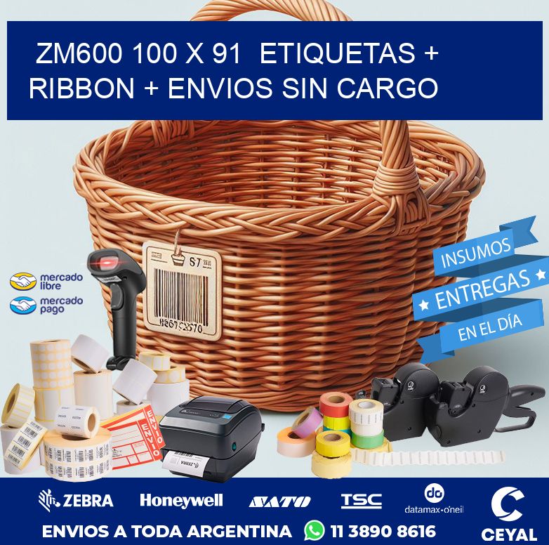 ZM600 100 x 91  etiquetas + ribbon + envios sin cargo