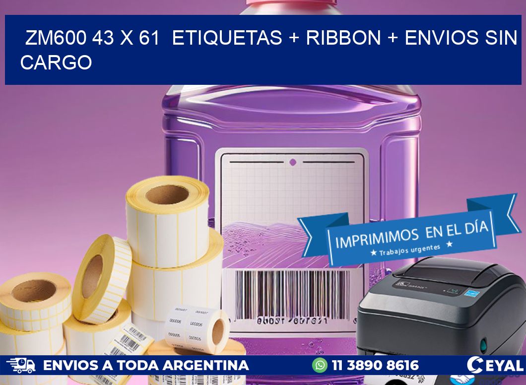 ZM600 43 x 61  etiquetas + ribbon + envios sin cargo