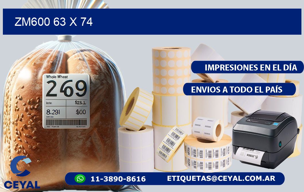 ZM600 63 x 74