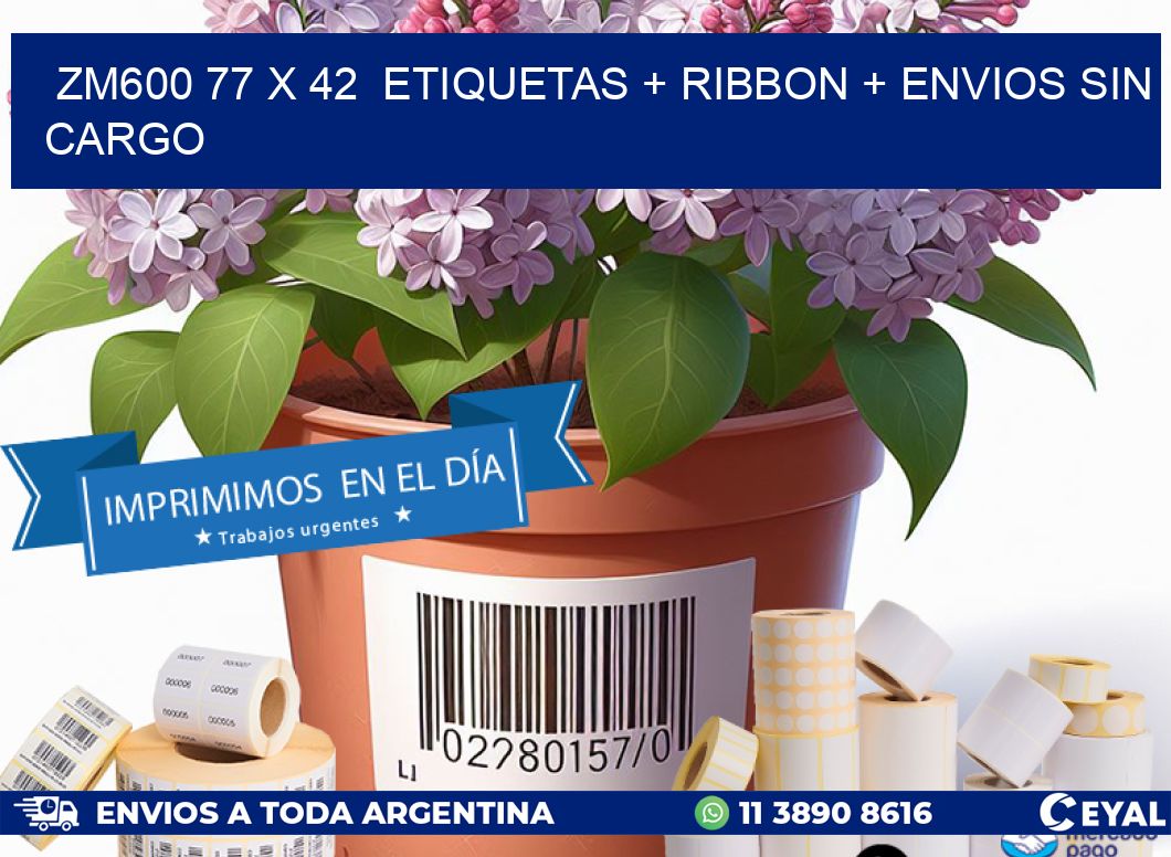 ZM600 77 x 42  etiquetas + ribbon + envios sin cargo