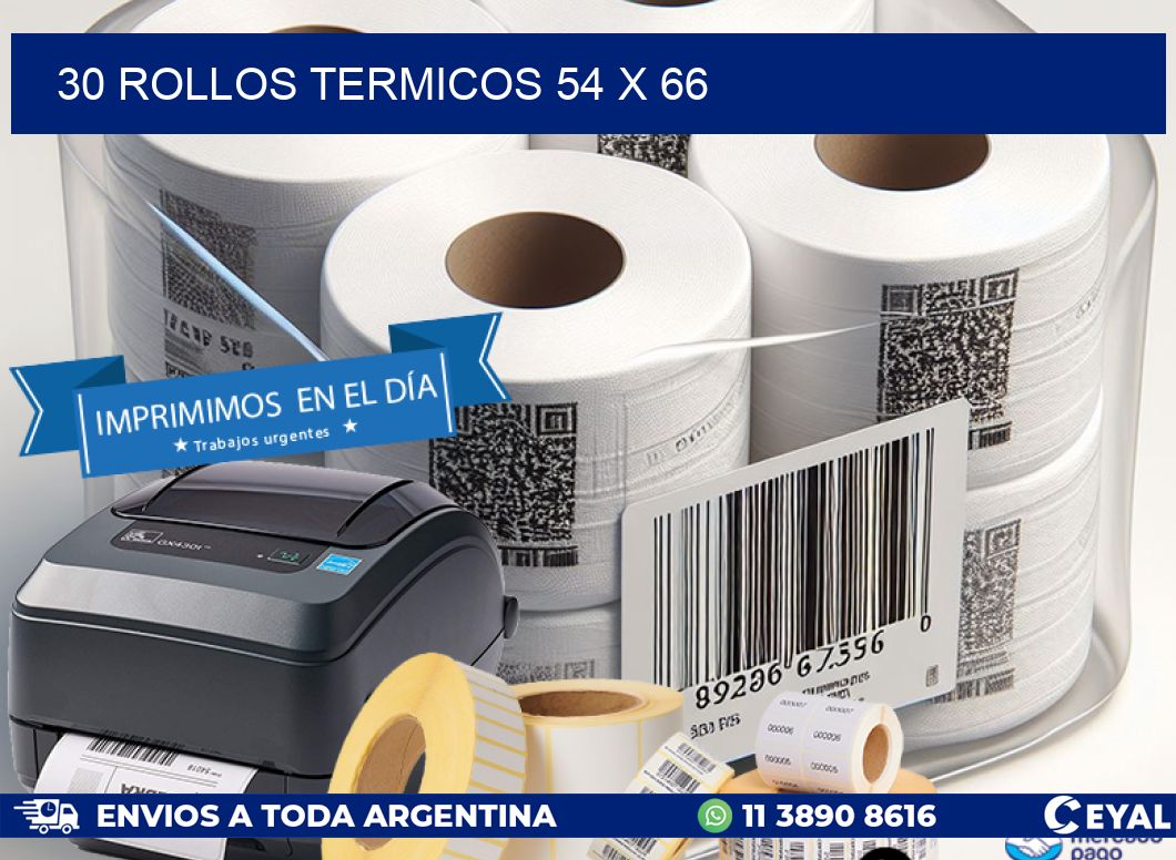 30 ROLLOS TERMICOS 54 x 66