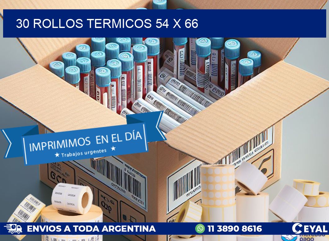 30 ROLLOS TERMICOS 54 x 66