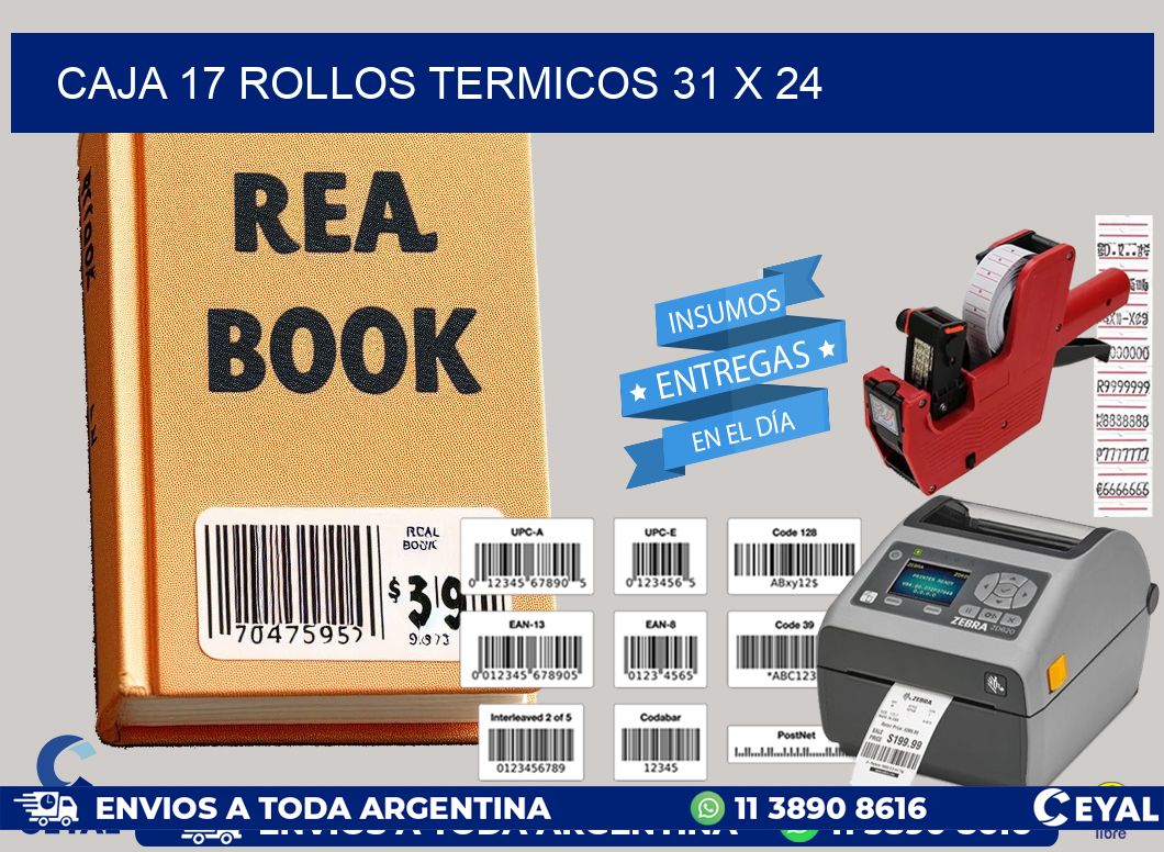 CAJA 17 ROLLOS TERMICOS 31 x 24