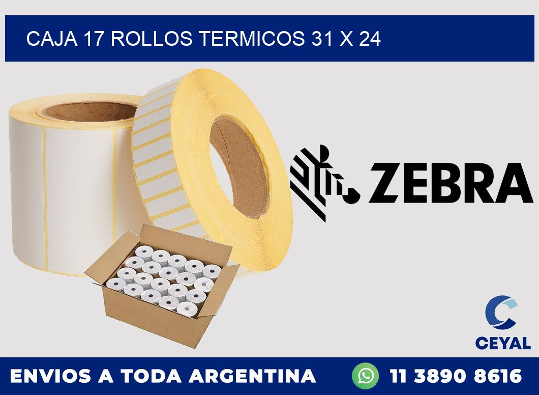 CAJA 17 ROLLOS TERMICOS 31 x 24
