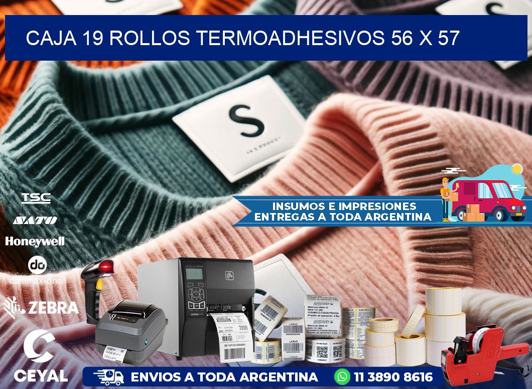 CAJA 19 ROLLOS TERMOADHESIVOS 56 x 57