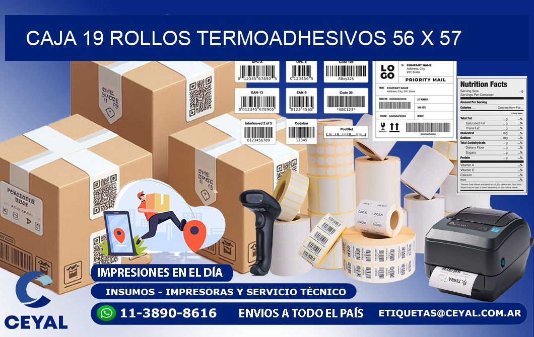 CAJA 19 ROLLOS TERMOADHESIVOS 56 x 57
