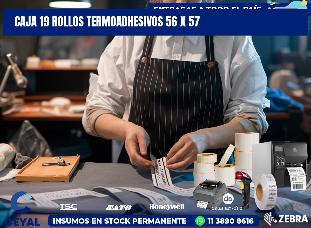 CAJA 19 ROLLOS TERMOADHESIVOS 56 x 57