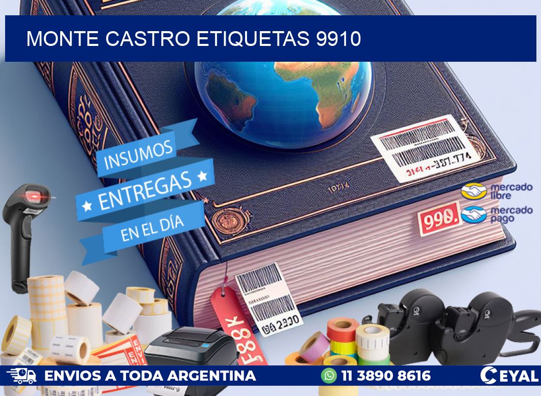 Monte Castro etiquetas 9910
