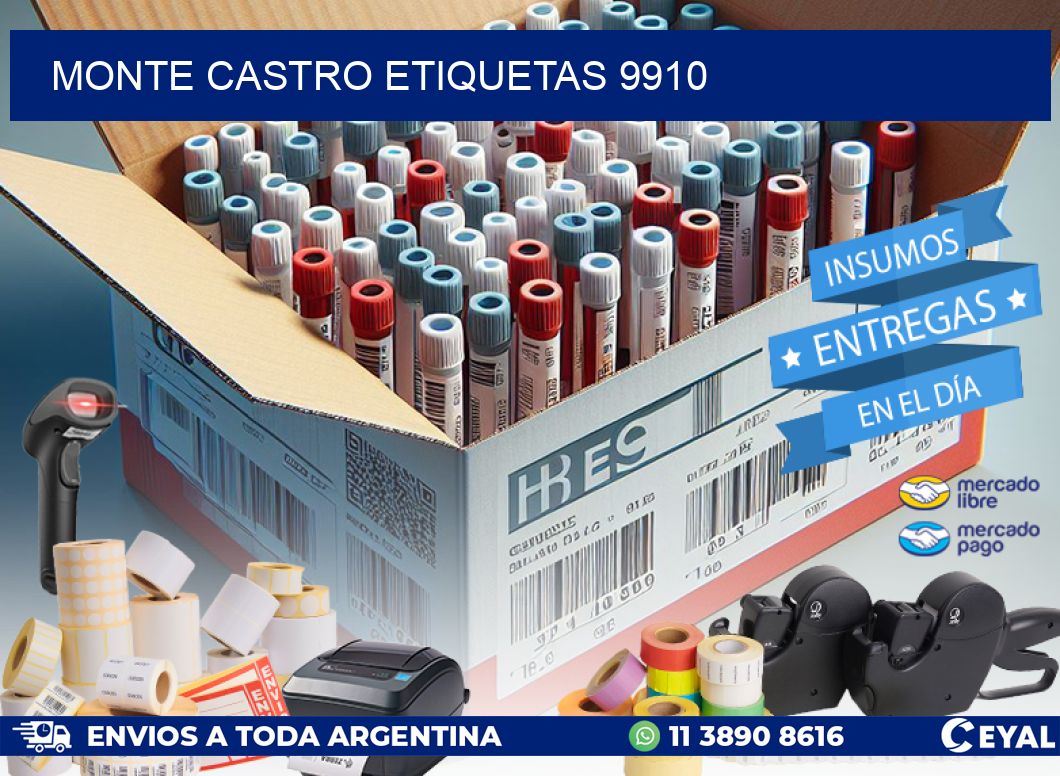 Monte Castro etiquetas 9910