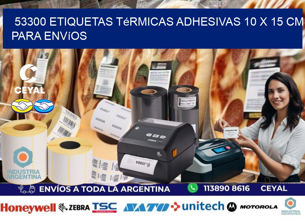53300 Etiquetas Térmicas Adhesivas 10 x 15 cm para Envíos