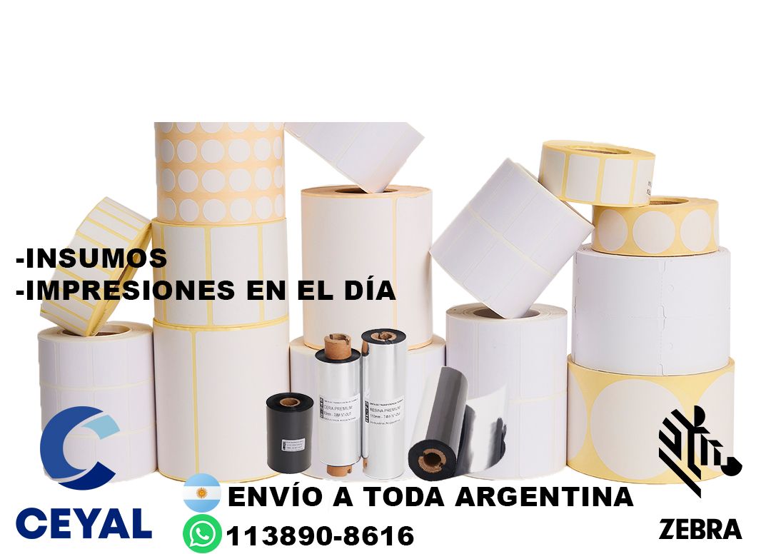 69925 Como reiniciar una impresora Zebra  ZD220