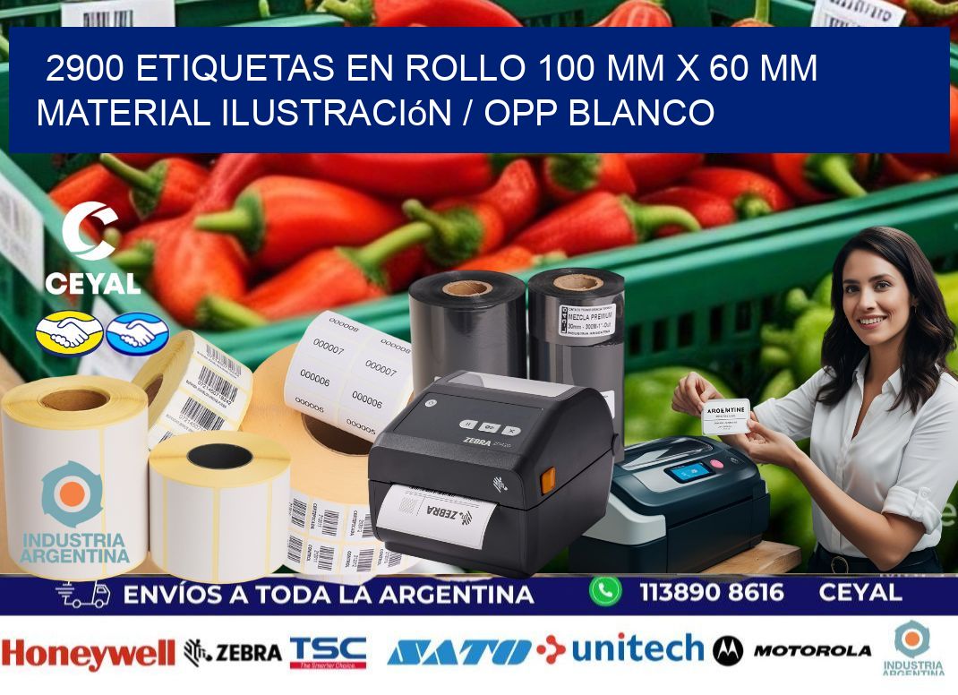 2900 Etiquetas en rollo 100 mm x 60 mm material Ilustración / OPP Blanco