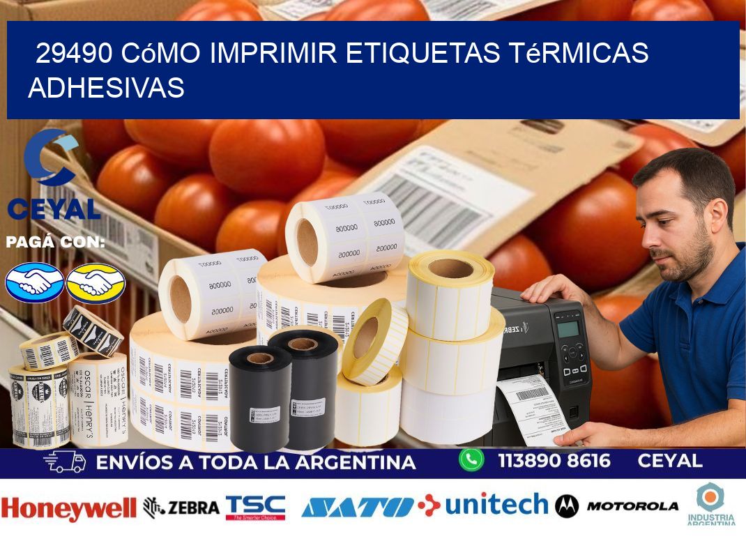 29490 cómo imprimir etiquetas térmicas adhesivas