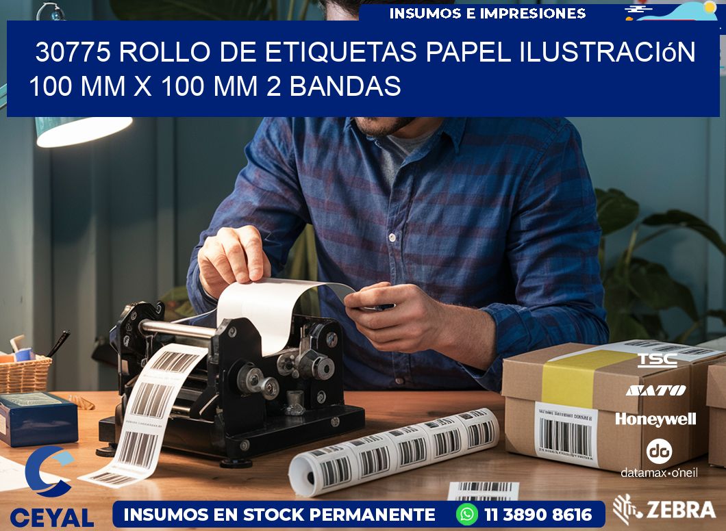 30775 Rollo de Etiquetas Papel Ilustración 100 mm x 100 mm 2 Bandas