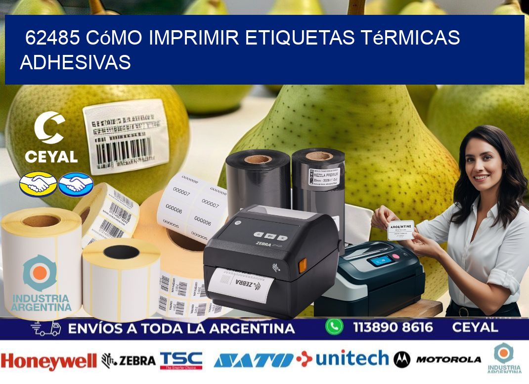 62485 cómo imprimir etiquetas térmicas adhesivas